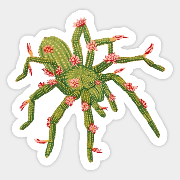 Tarantula Cactus Sticker by RaLiz